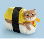 ও sushi's