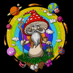 Wizard_mushrooms team