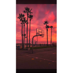mr.king_428yt