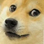 doge clan!!!!