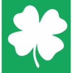 The Clover Group