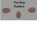 The Bug Raiders