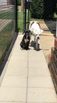 Max and missy group