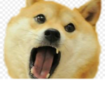 The doge army republic