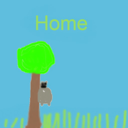[NEW MAP] HOME!🐨