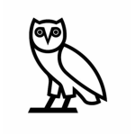 PROJECT OVO