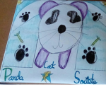 PandaCat Society