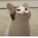 Group hmm
