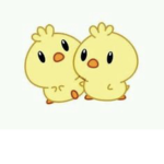 Chick Squadddd