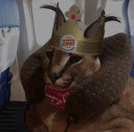 KINGFLOPPA_YT