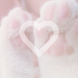 ♡