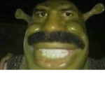 The shrek rats in goopy poopy