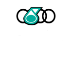 Audi Petronas Racing