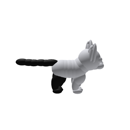cat model