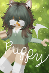 Puppy’s place :3
