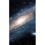 Space’s fan group
