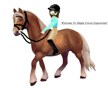Maple Forest Equestrian