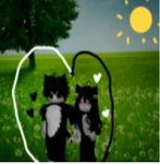 cat kittys club