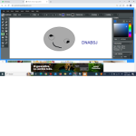 Dnabsj