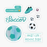 The Kicks Soccer Club!