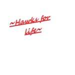 ~ HAWKS FOR LIFE ~