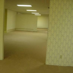 backrooms with scary nexbots (Horror)