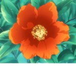 .--------------.