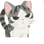 AngryCat Studio