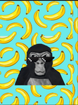 The football and monkey squad