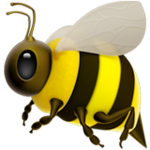 honey market