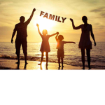 Family Official Fan