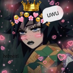My hero academia supporters -w-