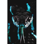Reptile Boys