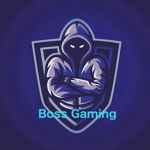 Boss gaming fan group
