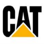 ::| Warrior Cat Fan Club |::