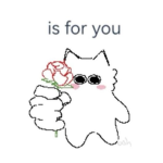 Cat_grop:3