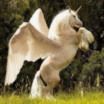 le unicorns!