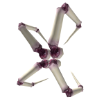 Albino Stingers