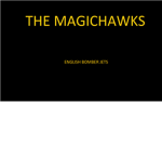 The magichawks.
