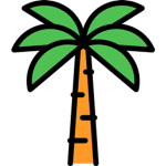 Palmworks Studios