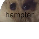 epic hampter group