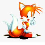 _Classic tails fans_