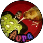 Ạura