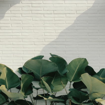 green plants Roblox decal