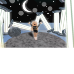 Moon Krew