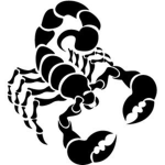 Scorpion Studio