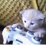 Ryan's Dh Shop