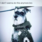 Uh oh stinky BOYZ