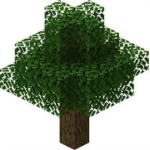 Aesthetic Saplings