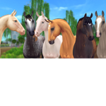 Happyhorse Fan Group!